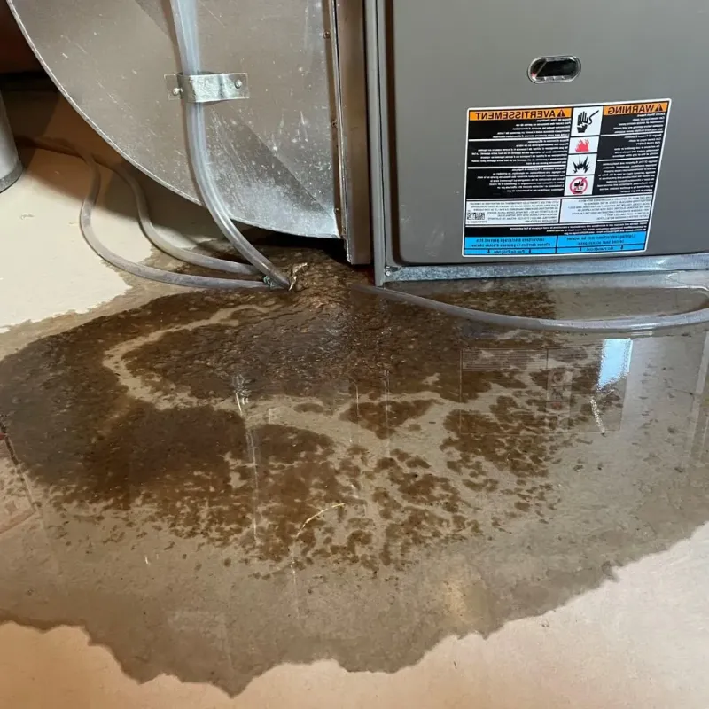 Pipe Burst and Leak Restoration in Guthrie Center, IA