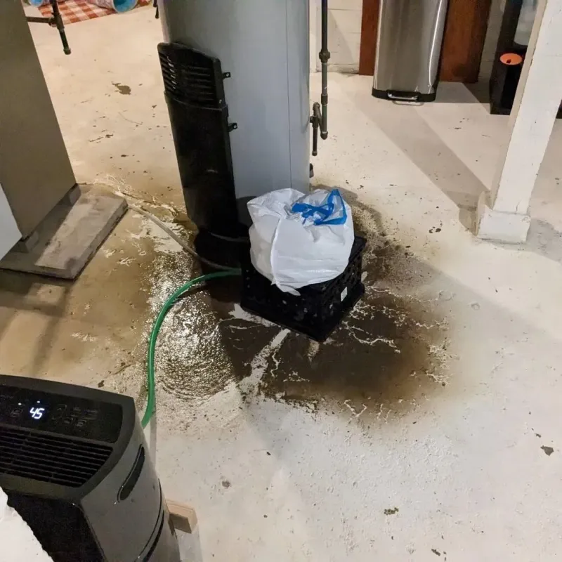 Sewage Backup Cleanup Service in Guthrie Center, IA